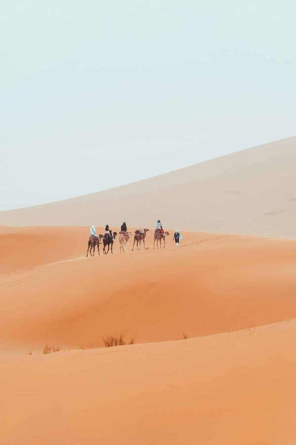 Quels sont les meilleurs itinéraires pour un trek sur le Sentier des Appalaches?